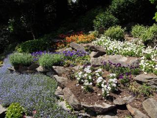 DSCN4023.JPG
