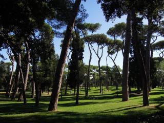 DSCN0832.JPG