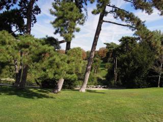 DSCN7696.jpg