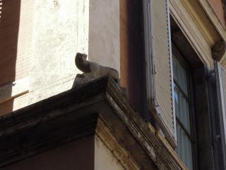 DSCN9540.JPG