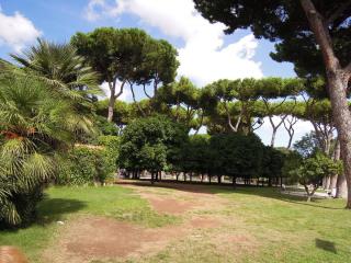 DSCN0571.JPG