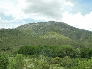 DSCN7951 (640x480).jpg