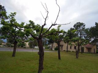 DSCN8213 (640x480).jpg
