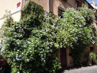 DSCN0649.JPG