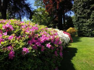 DSCN4035.JPG
