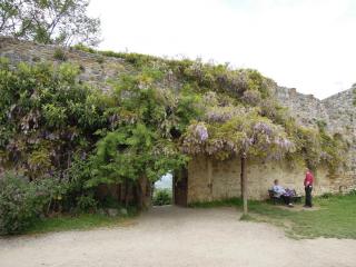 DSCN3713.JPG