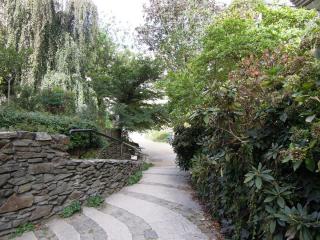 DSCN7245.jpg
