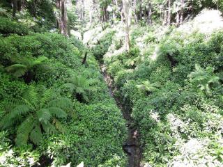 DSCN4012.JPG