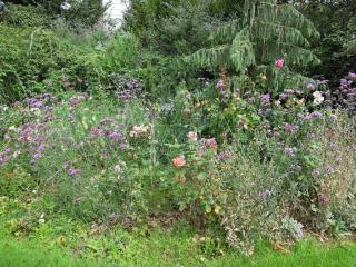 DSCN6542.jpg