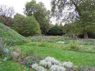 DSCN6835.jpg