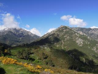 DSCN7733 (640x480).jpg
