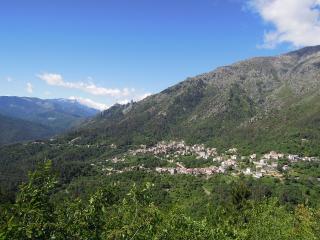 DSCN7788 (640x480).jpg