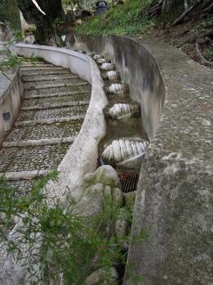DSCN0063.JPG
