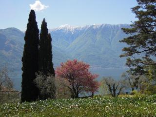 DSCN3936.JPG