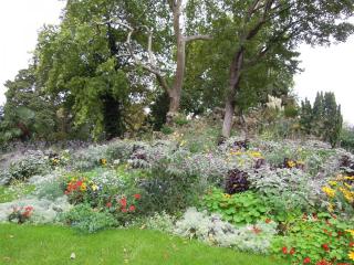 DSCN6652.jpg