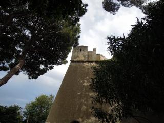 DSCN8089 (640x480).jpg