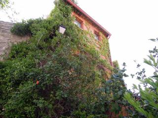 DSCN6215 (640x480).jpg