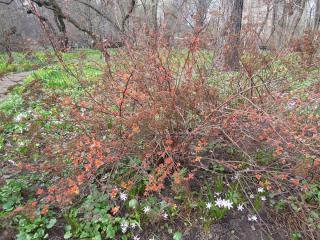 DSCN8310.JPG