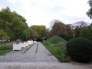 DSCN6831.jpg
