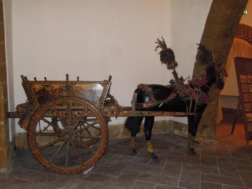 DSCN5706.JPG