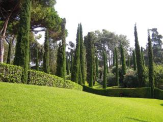 DSCN3918.JPG