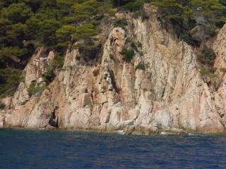 DSCN5118.JPG