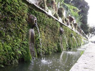 DSCN0042.JPG