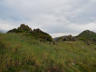 DSCN6865 (640x480).jpg