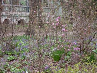 DSCN8219.JPG