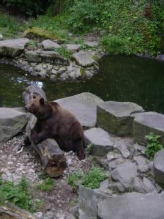 DSC02559.jpg