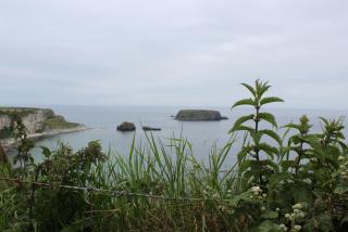 IMG_7848.JPG