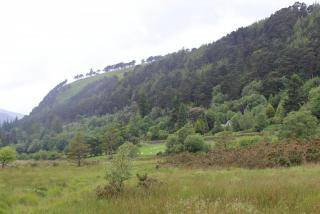 IMG_7586.JPG