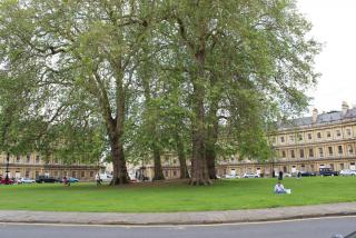 IMG_7099.JPG