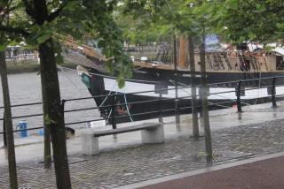 IMG_7480.JPG