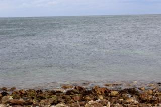 IMG_7434.JPG