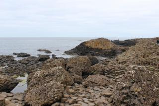 IMG_7794.JPG