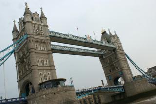 DSC02518.jpg
