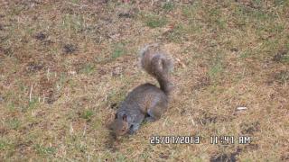 SAM_0325.JPG