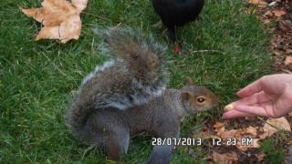 SAM_0489.JPG