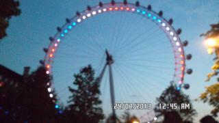 SAM_0302.jpg
