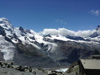 IMG_0890.jpg