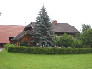 IMG_6568.JPG