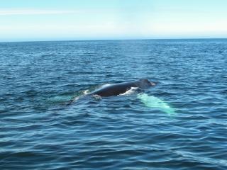 IMG_8669_1.jpg