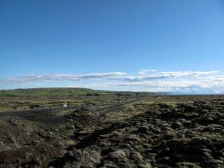 IMG_7538_1.jpg