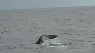 07-20-2011_181519-6.jpg