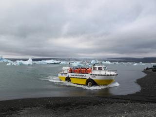 IMG_7388_1.jpg