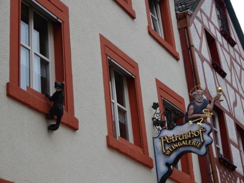 DSC02272 - копия.JPG