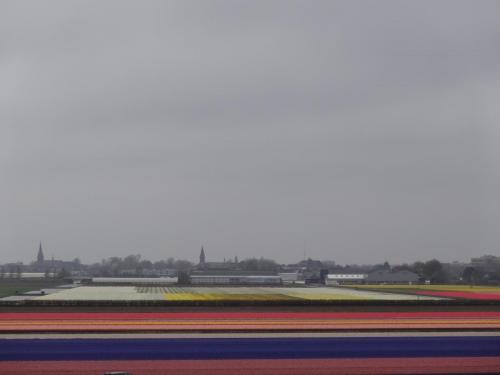 DSC01414.JPG