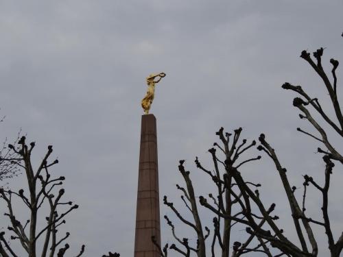 DSC02250.JPG