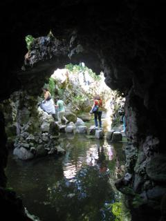 IMG_8341.jpg